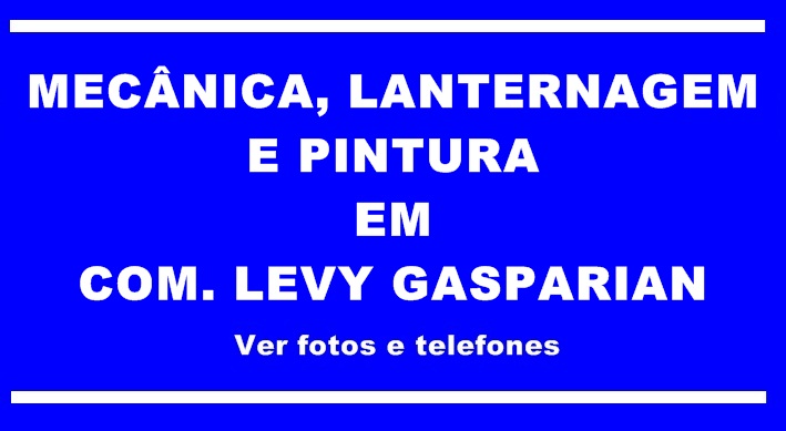 Mecânica, Lanternagem e Pintura em Levy Gasparian